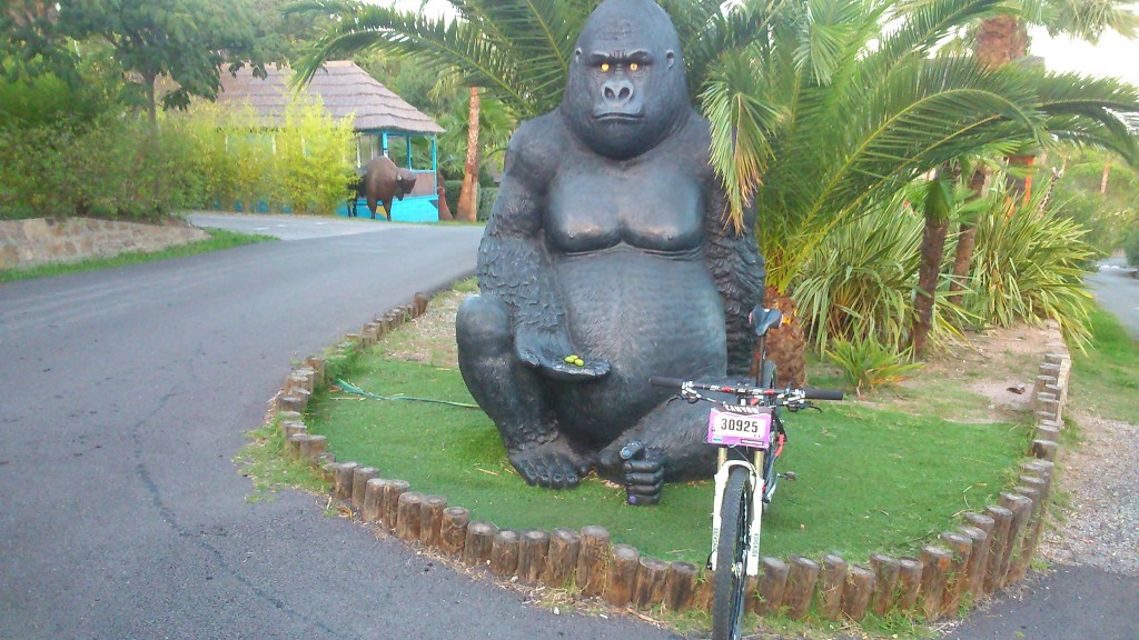 Merci à Coco pour le gardiennage du VTT 3 pistaches pour avoir la tranquillité!